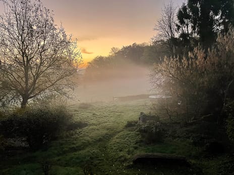 Middenlaan 52 secondary image