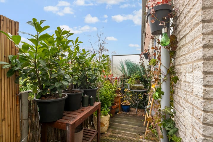 Foto 15 van Vinkenstraat 48