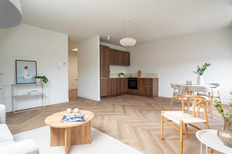 2e Sweelinckstraat thumbnail