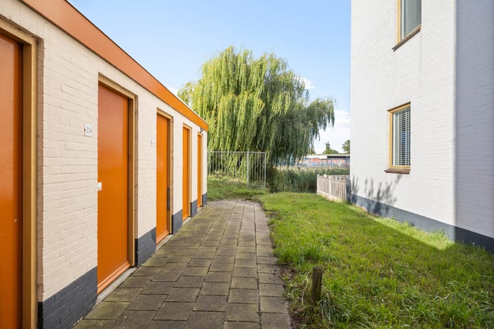 Foto 19 van Orion 27