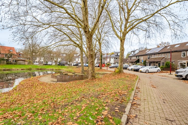 Foto 36 van Velduil 20