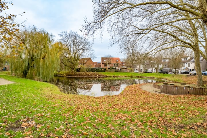 Foto 37 van Velduil 20