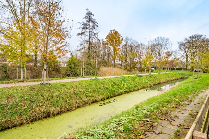 Foto 38 van Velduil 20