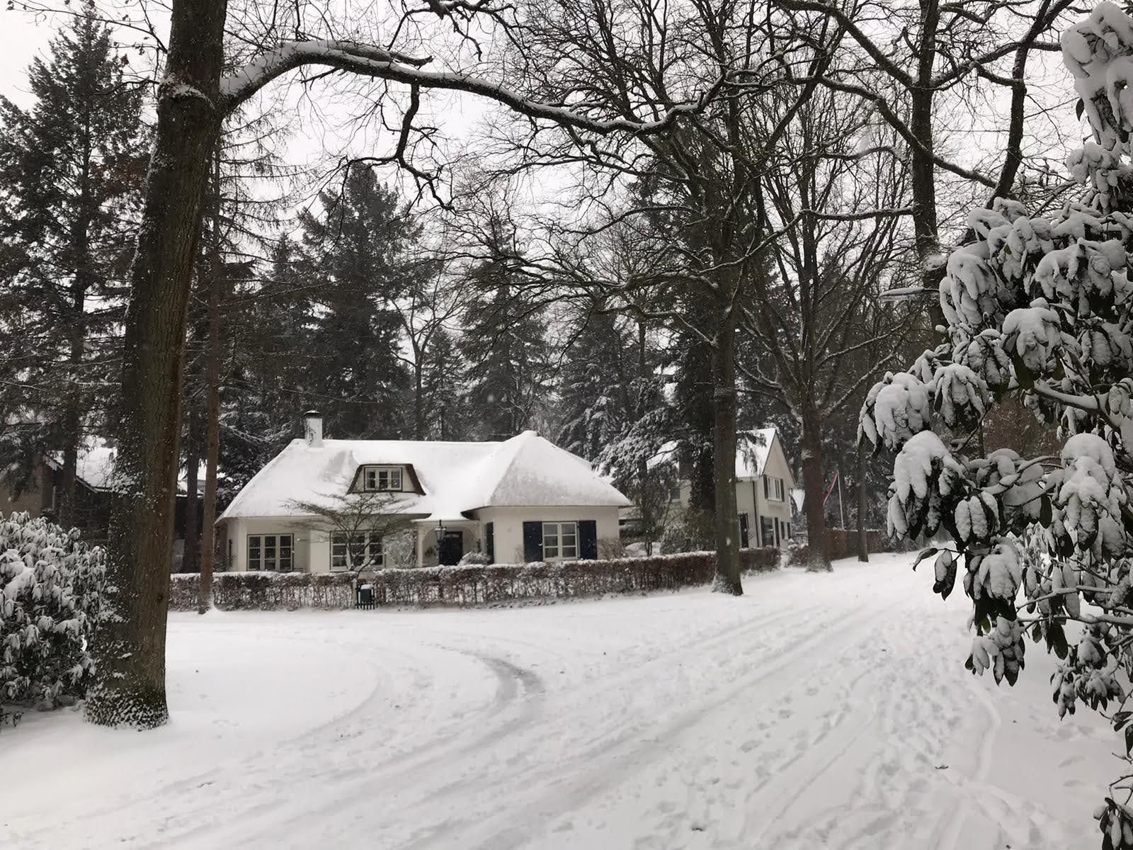 Foto 57 van Larixlaan 2