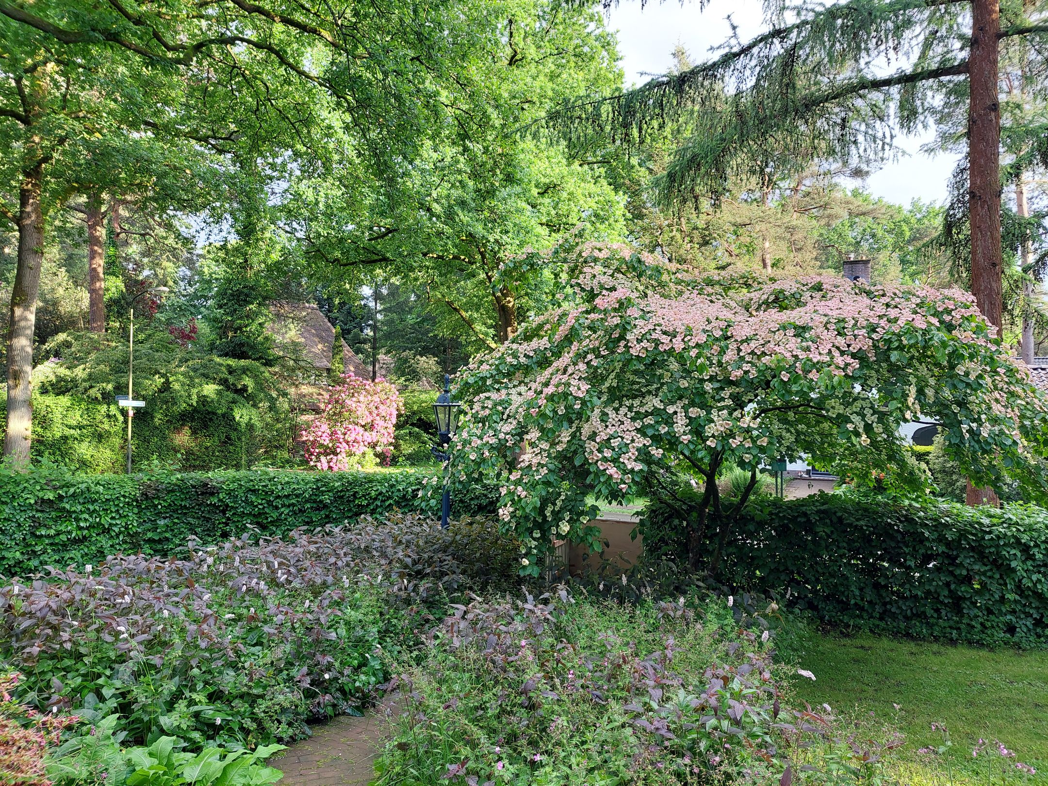 Foto 60 van Larixlaan 2