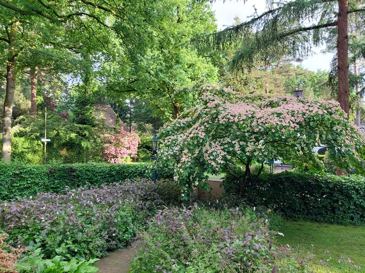 Foto 60 van Larixlaan 2