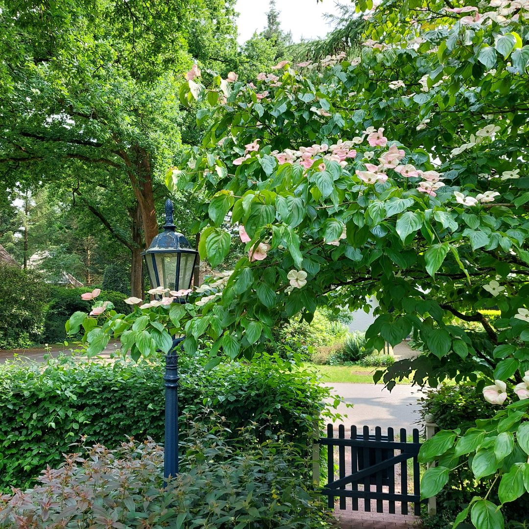 Foto 61 van Larixlaan 2