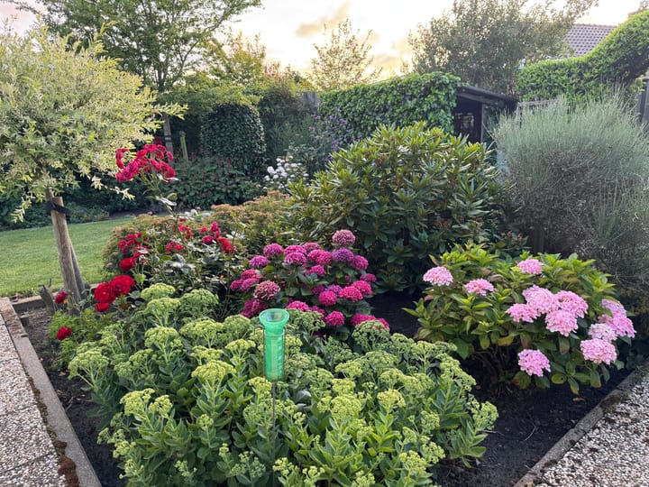 Foto 35 van Amsteldiepstraat 56