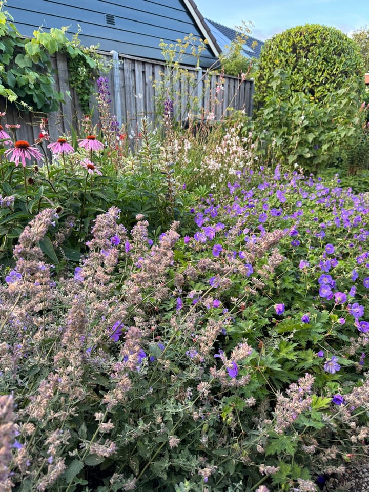 Foto 37 van Amsteldiepstraat 56