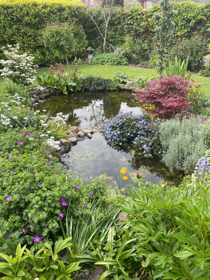 Foto 38 van Amsteldiepstraat 56