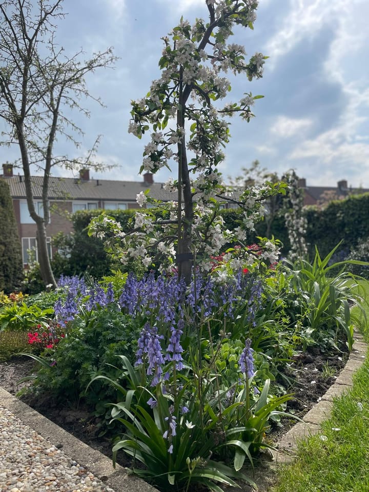 Foto 39 van Amsteldiepstraat 56