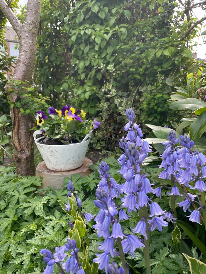 Foto 41 van Amsteldiepstraat 56