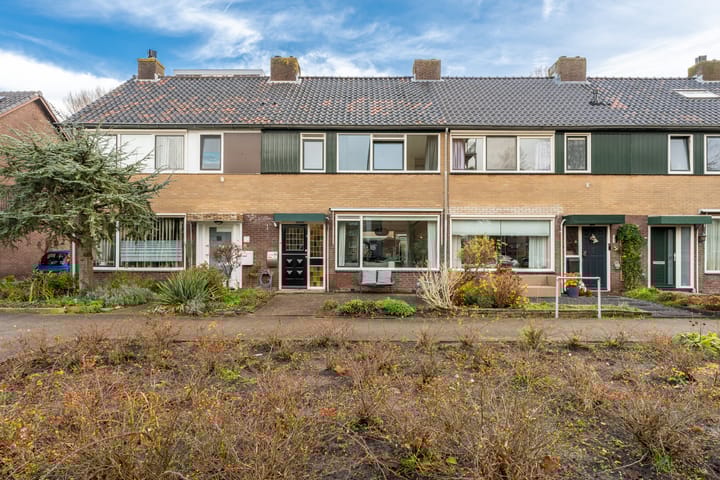 Foto 50 van Henry Dunantlaan 83