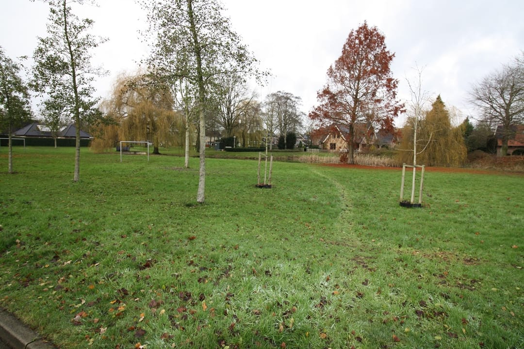 Foto 32 van De Groenling 64