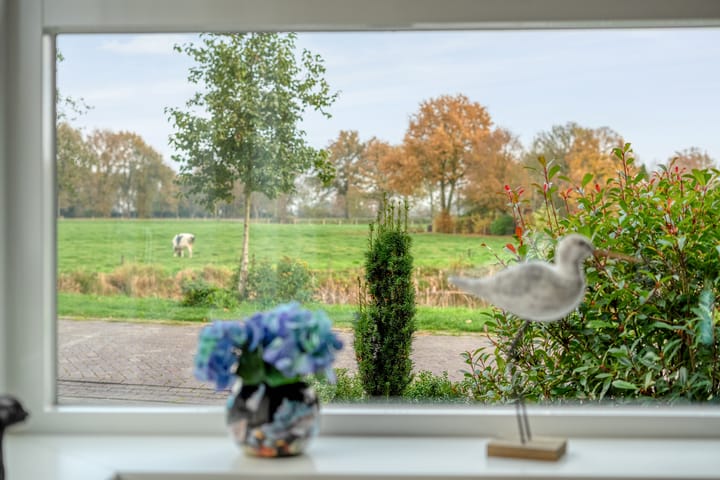 Foto 13 van Pingosingel 8