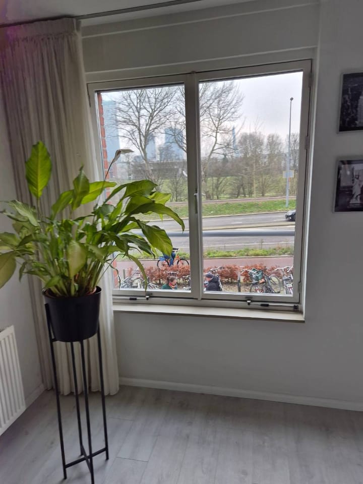 Foto 7 van Prins Frederikplein 202