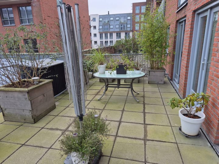 Foto 8 van Prins Frederikplein 202