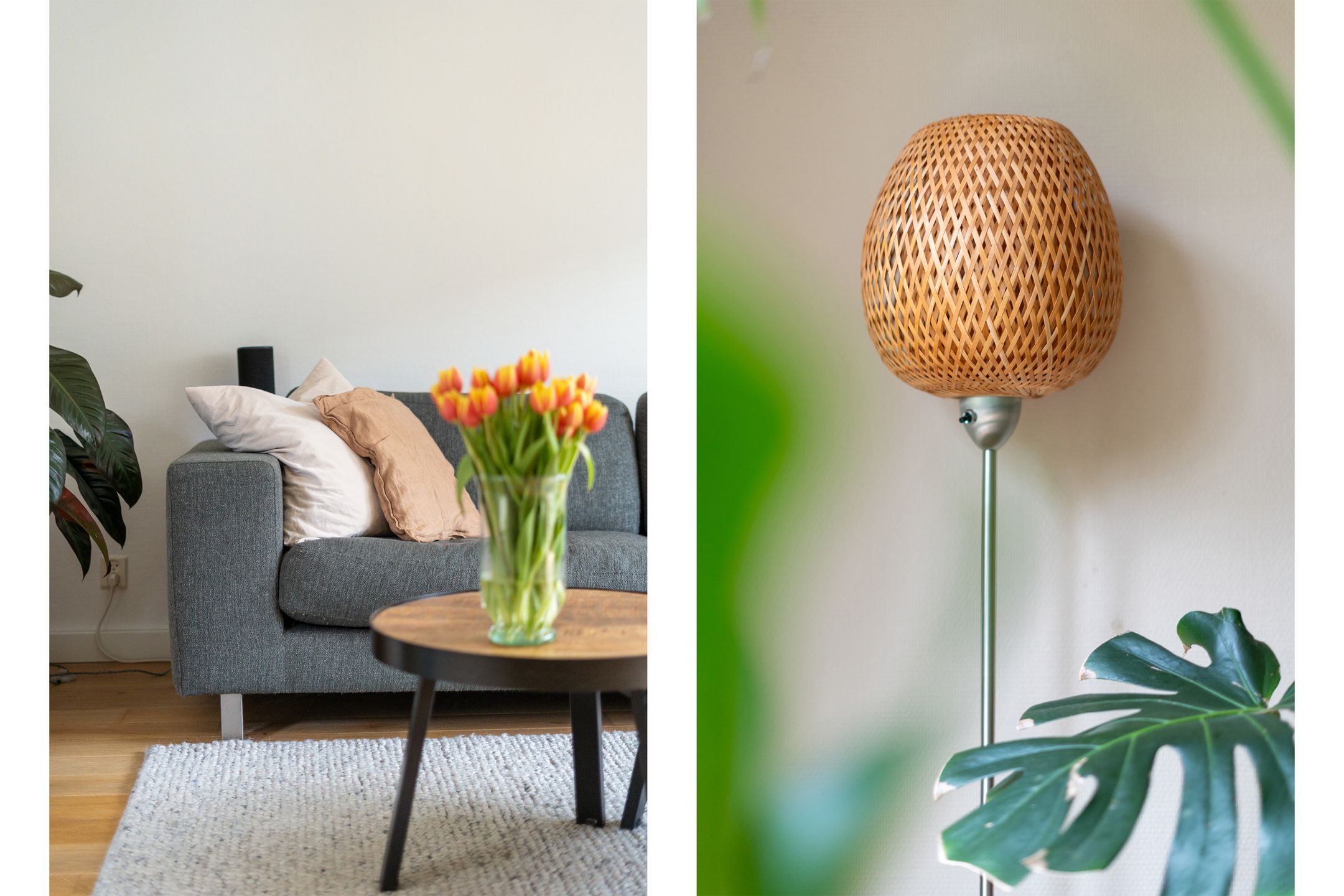 Foto 6 van Ariadnestraat 14