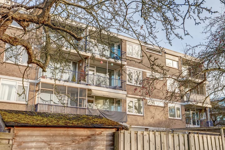 Foto 4 van Chirurgijnstraat 13