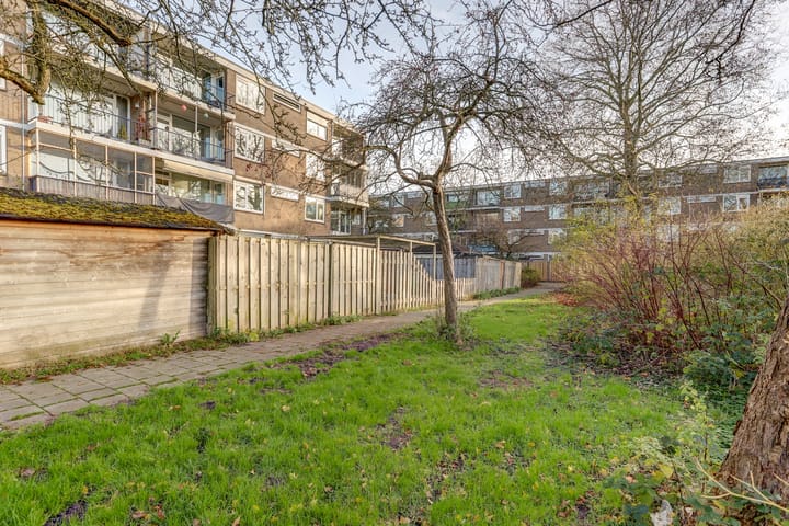 Foto 26 van Chirurgijnstraat 13