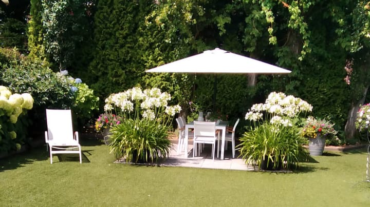 Photo 44 of Carmelstraat 26