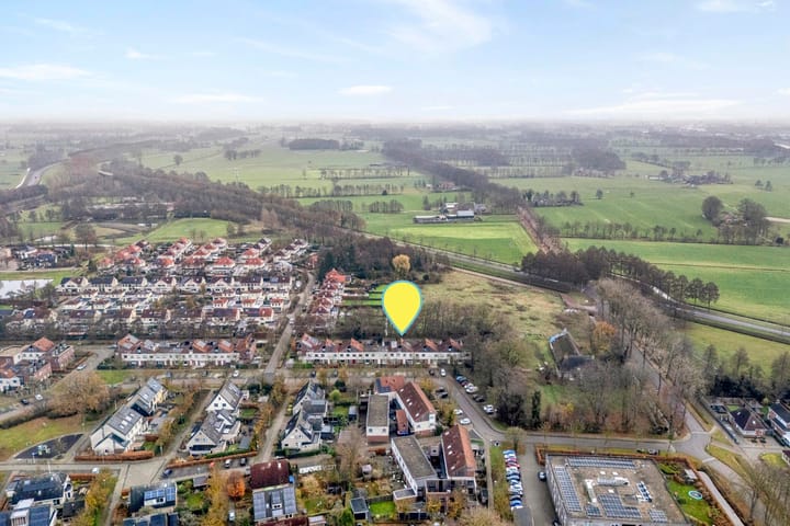 Foto 4 van Citroenvlinder 159