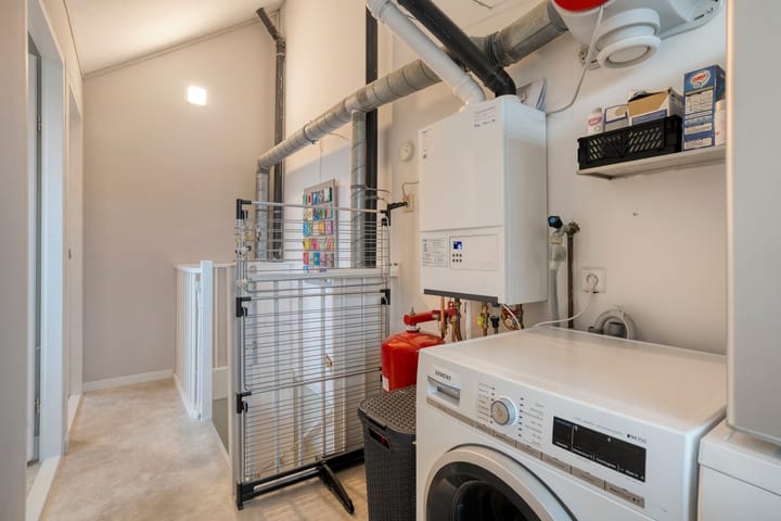 Photo 26 of Citroenvlinder 159