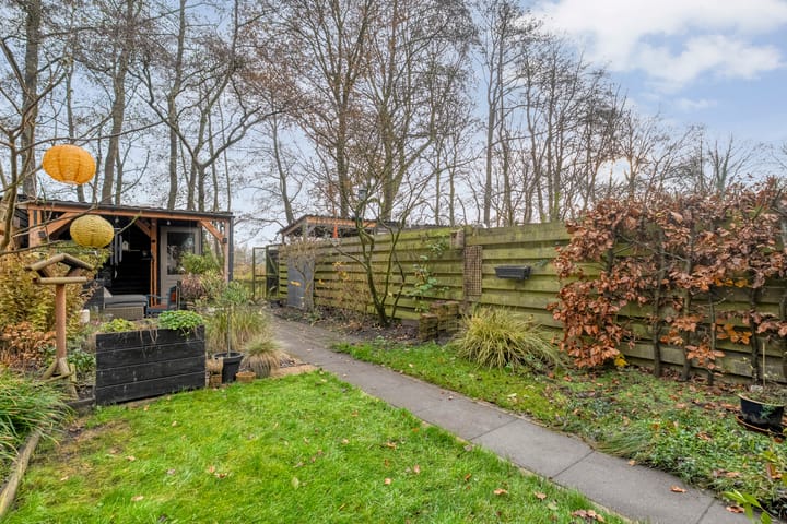 Photo 33 of Citroenvlinder 159