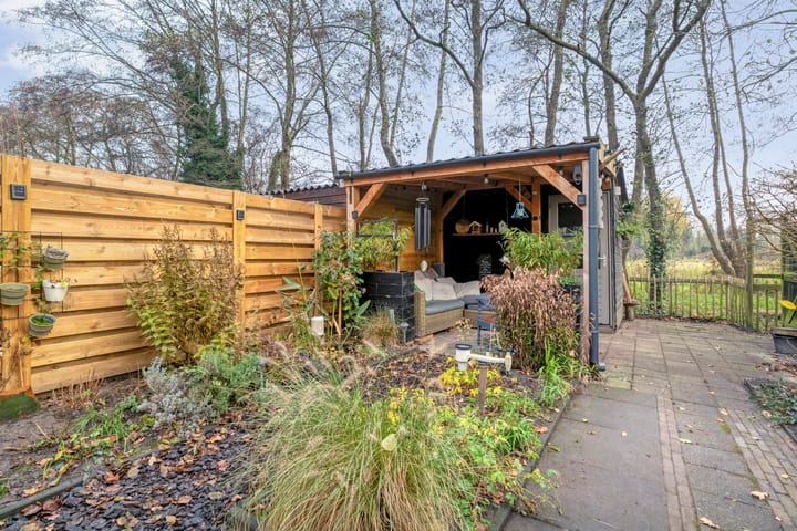 Photo 35 of Citroenvlinder 159