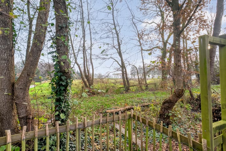 Photo 38 of Citroenvlinder 159