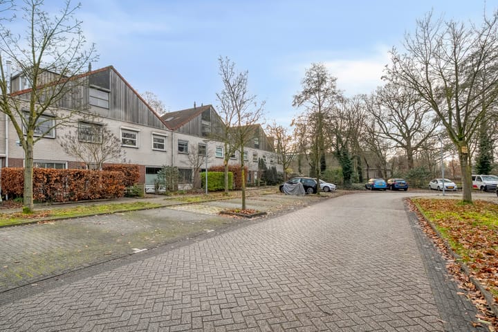 Photo 39 of Citroenvlinder 159