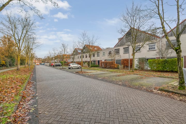 Photo 40 of Citroenvlinder 159