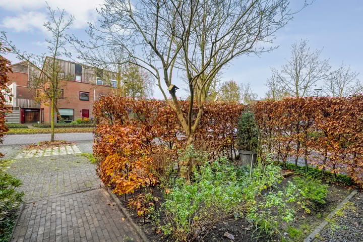 Photo 41 of Citroenvlinder 159