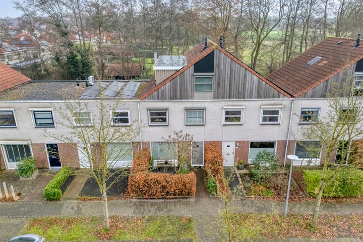 Photo 42 of Citroenvlinder 159