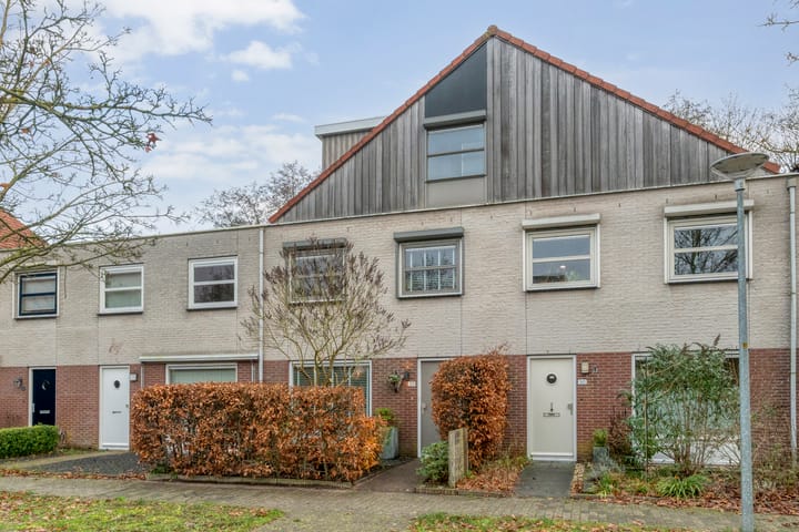 Photo 43 of Citroenvlinder 159