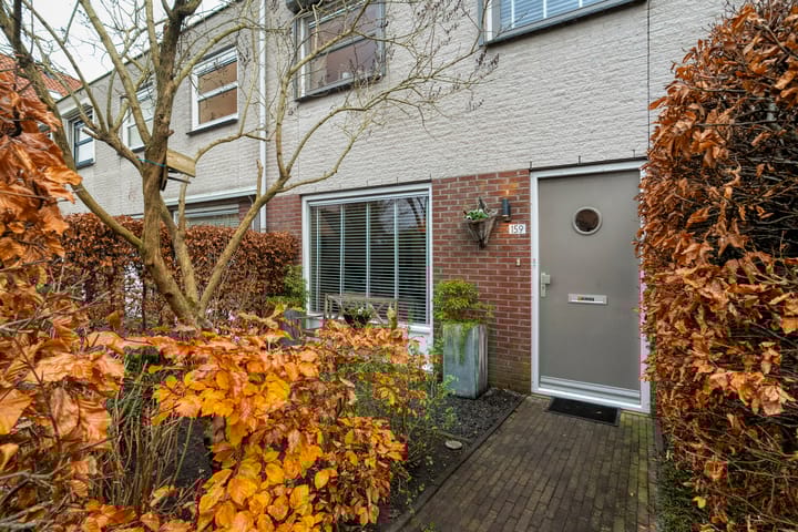 Photo 44 of Citroenvlinder 159