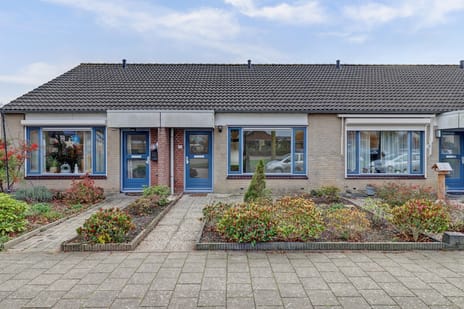 undefined main image