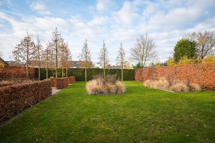 Photo 3 of St. Josephstraat 16