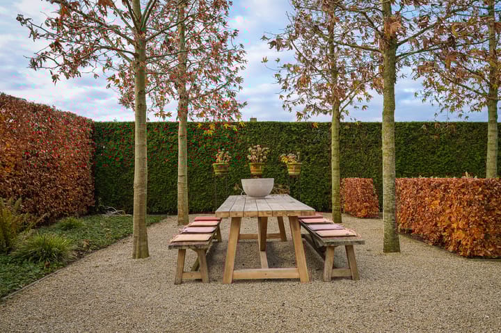 Photo 56 of St. Josephstraat 16