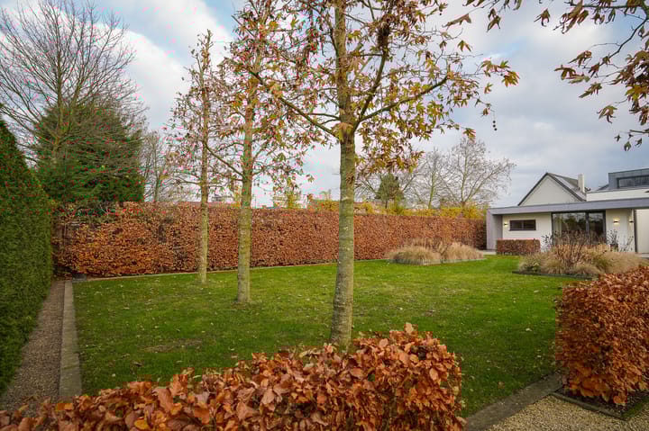 Photo 55 of St. Josephstraat 16