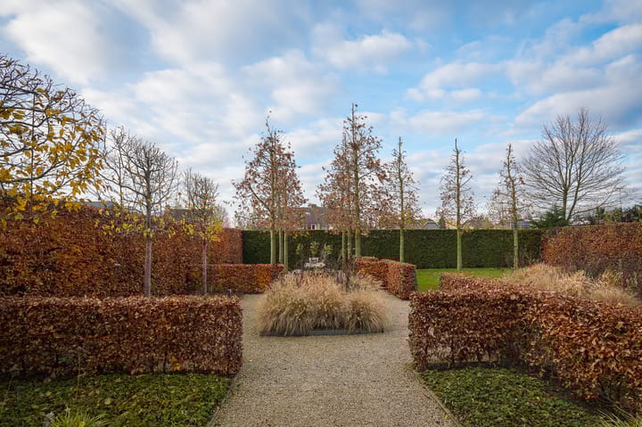 Photo 58 of St. Josephstraat 16