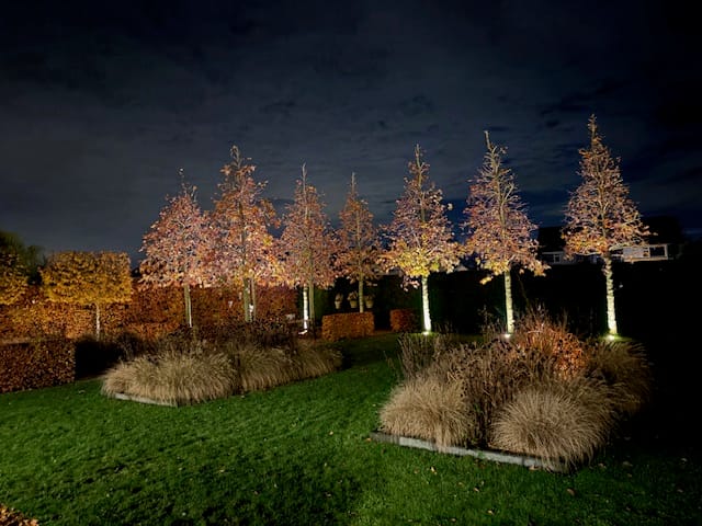 Photo 60 of St. Josephstraat 16