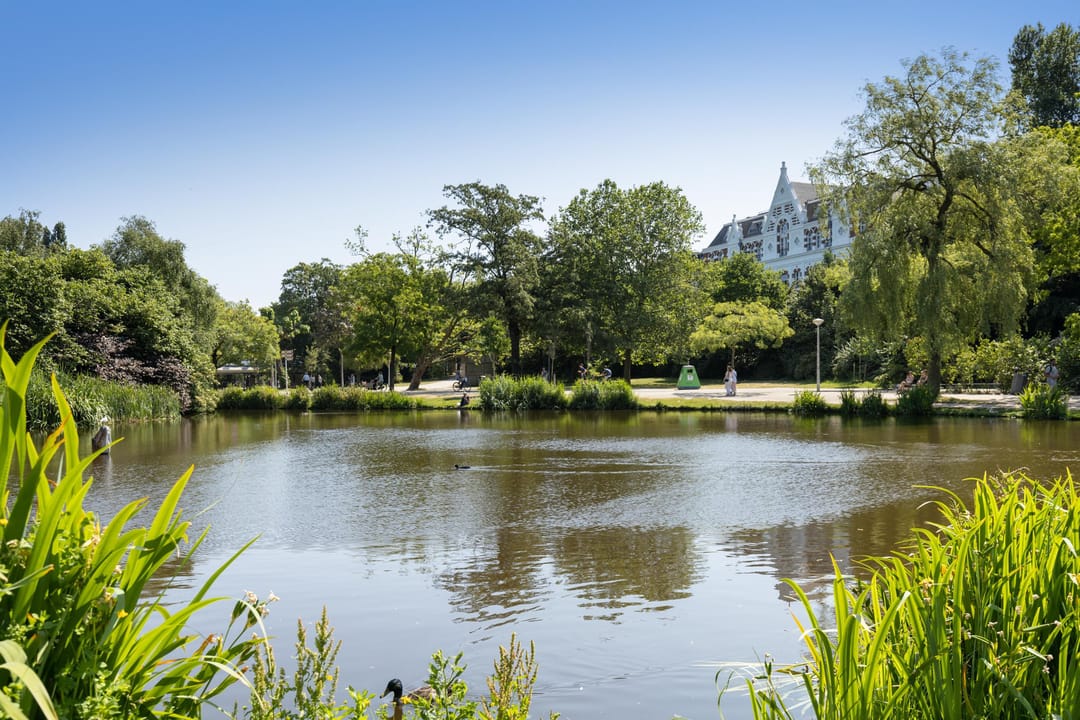 Foto 22 van Van Eeghenstraat 30-3