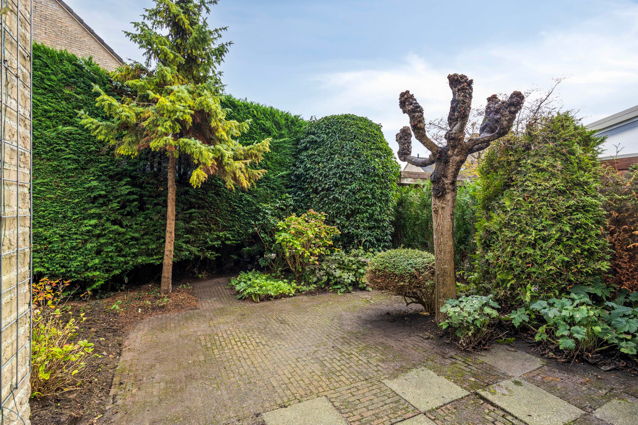 Foto 21 van Teresastraat 12