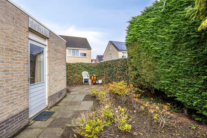 Foto 22 van Teresastraat 12