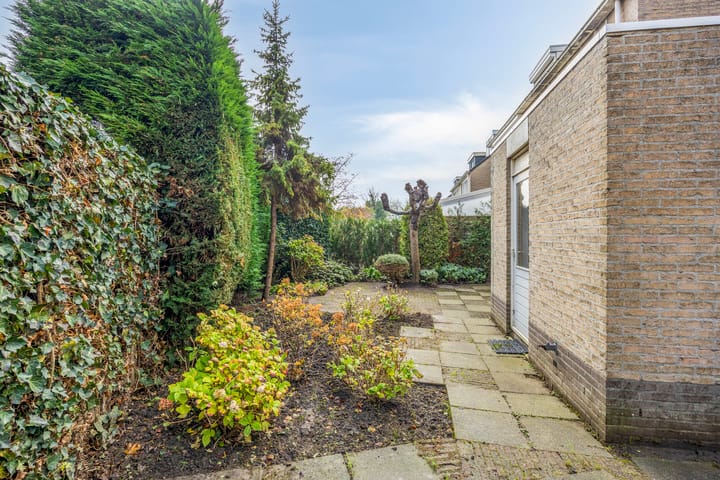 Foto 23 van Teresastraat 12