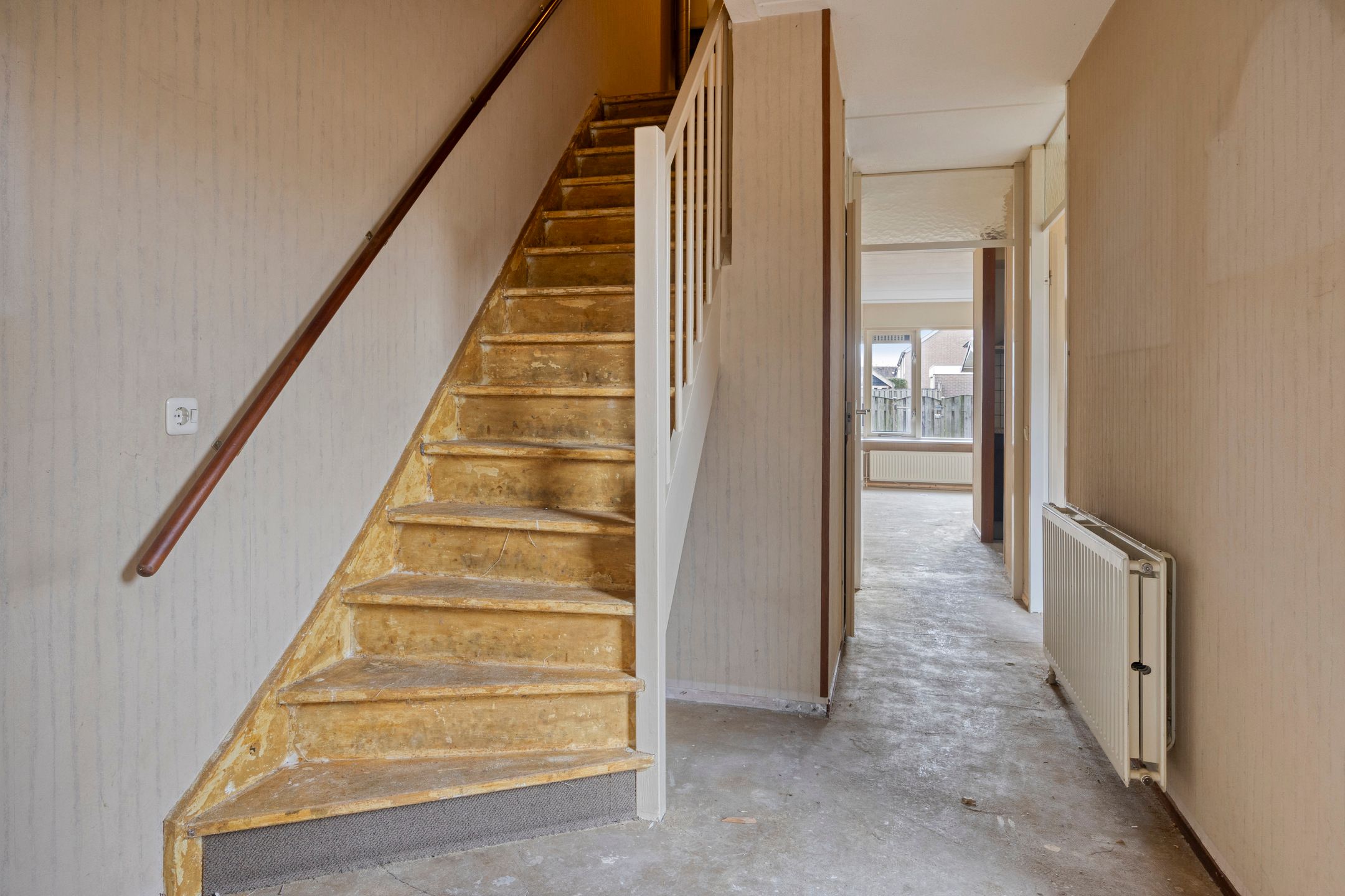 Foto 3 van De IJsvogel 4