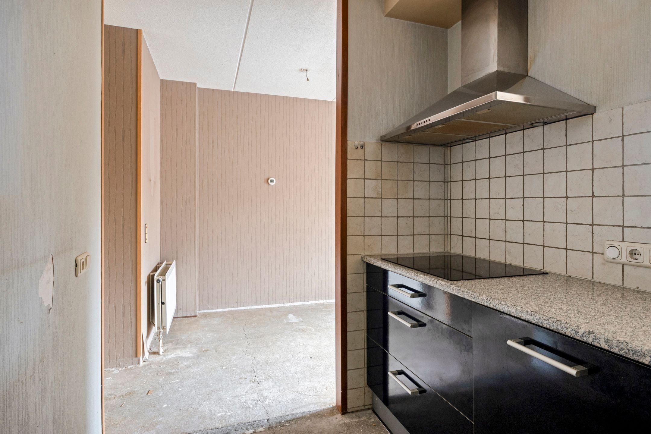 Foto 9 van De IJsvogel 4