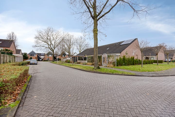 Photo 25 of De IJsvogel 4