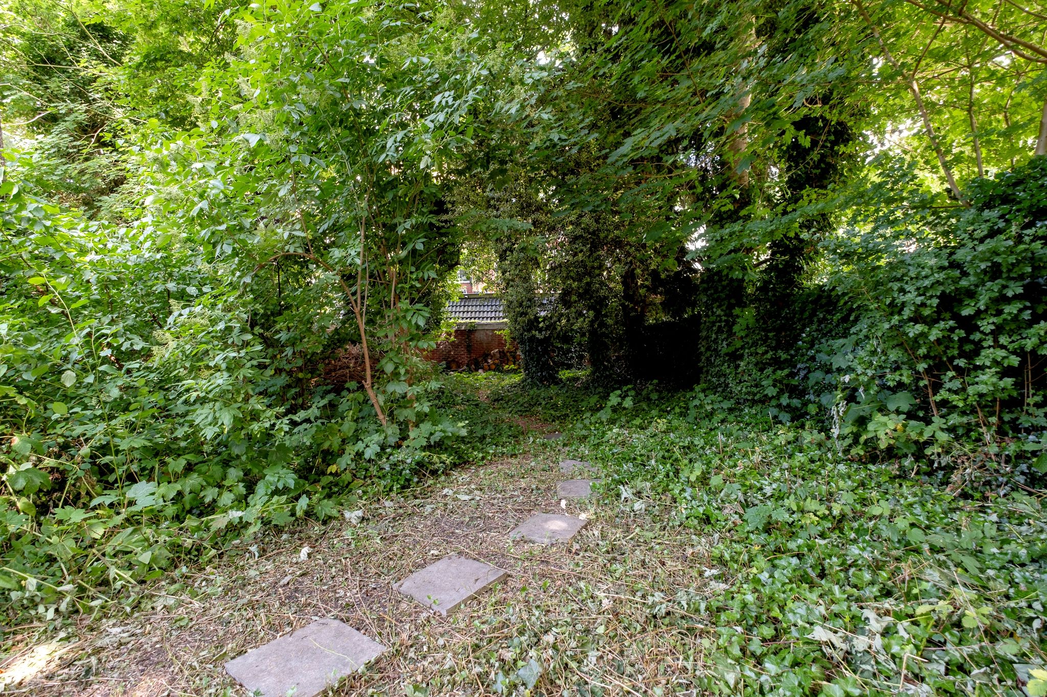 Foto 75 van Ossenmarkt 4-A